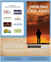 Gambling Problem Flyer (Spanish)